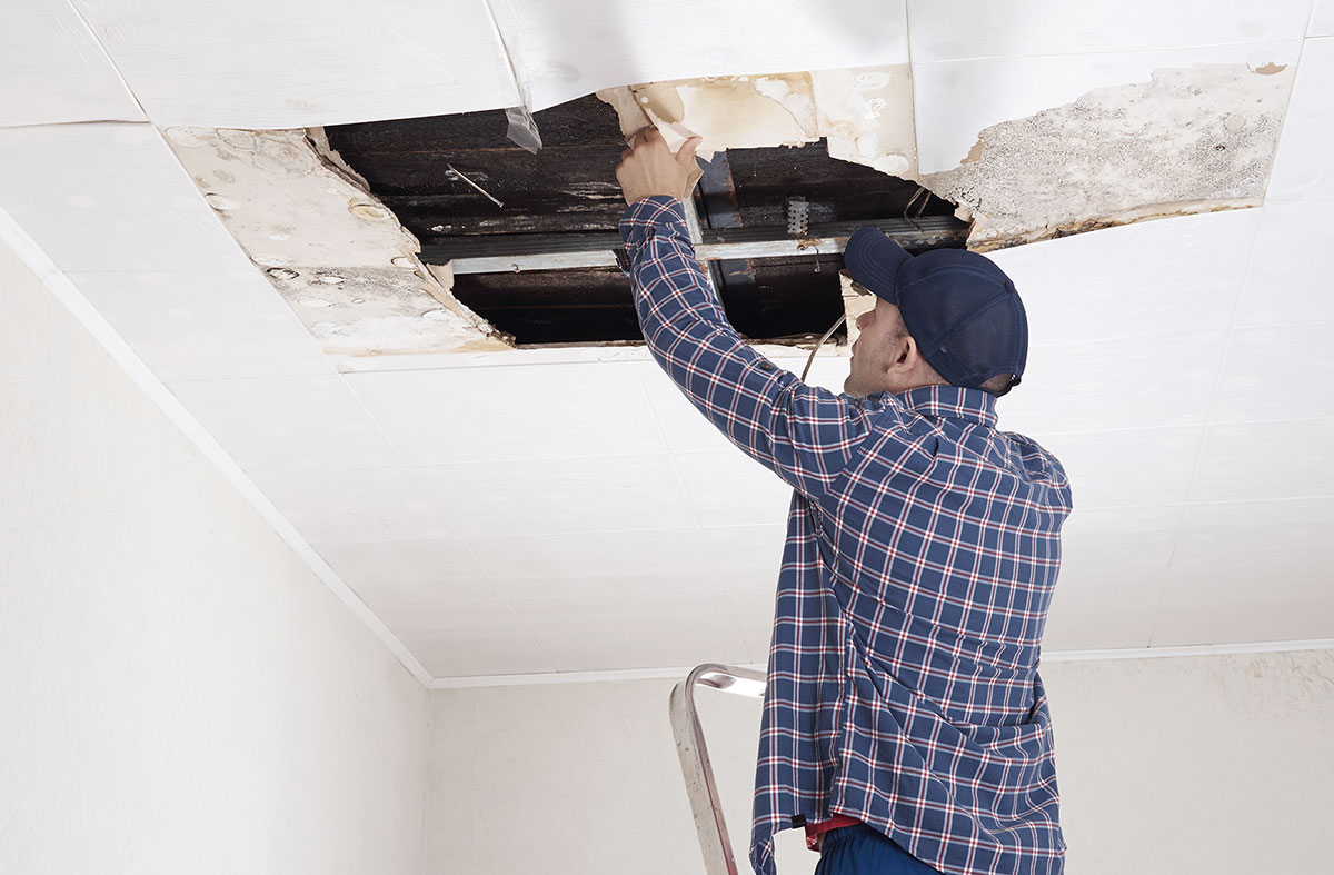 Cleanup It – Fire and Water Damage Restoration Professionals