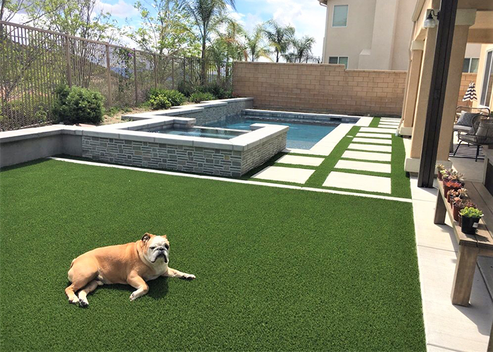 Fake Grass For Dogs and Kids